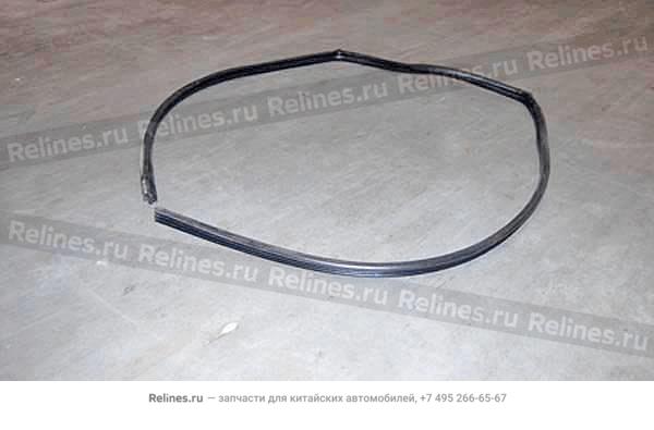 Door strip-rr door LH - T11-5***30HA