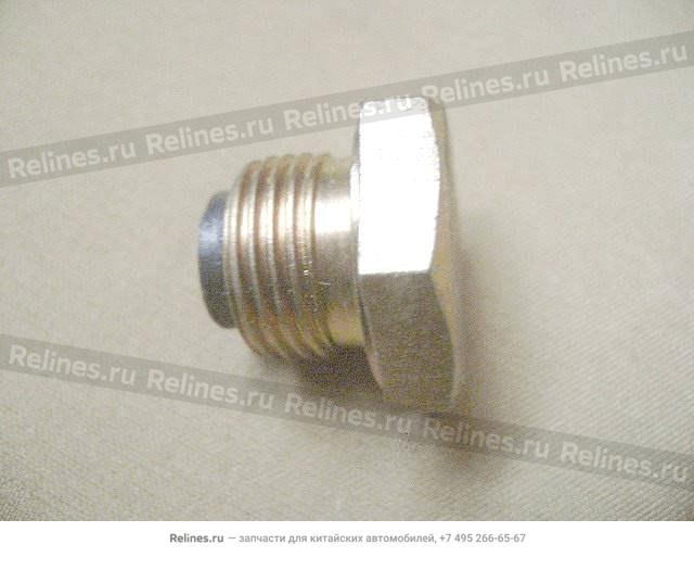 Hex bolt plug magnetic - 5RYA***1070