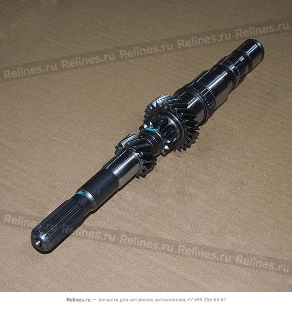 Input shaft - F621A***1101K