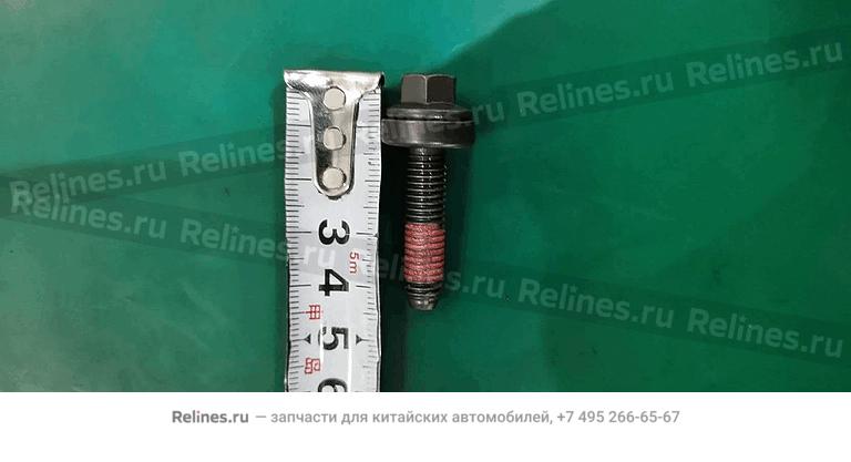 Heatproof bolt - 203***100