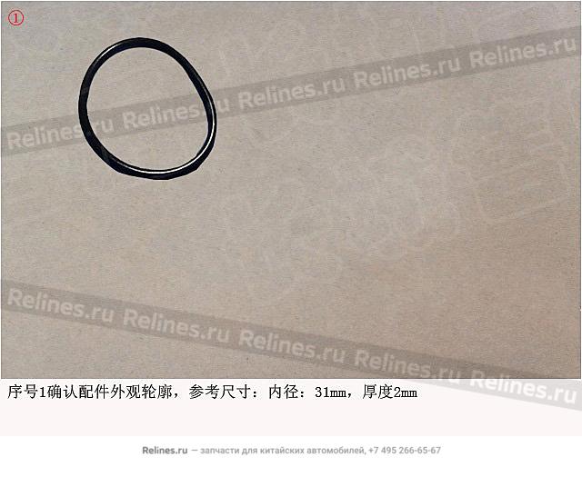 O-ring - 170***17