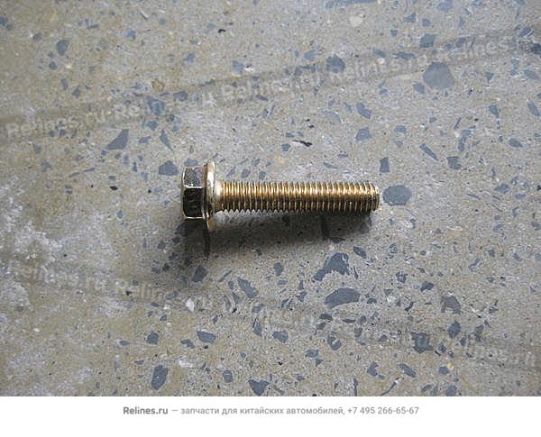 Water pump bolt, shorter - Q1***30