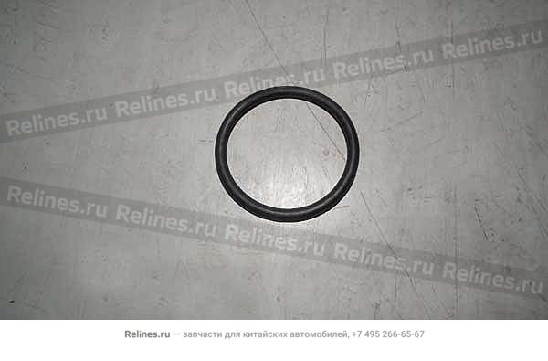 O ring