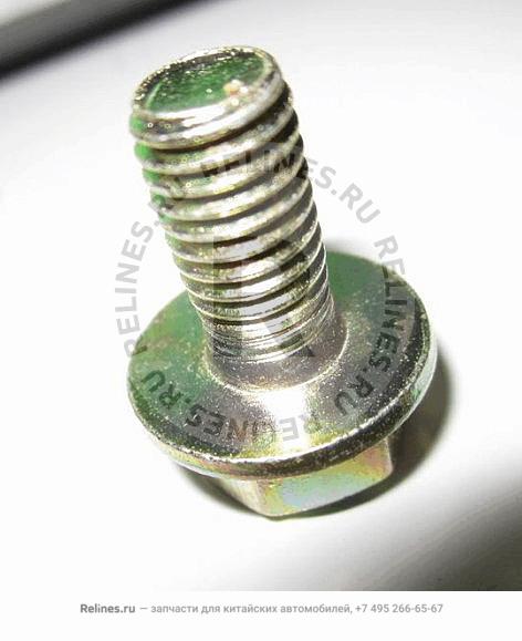 Screw assy - q1***16