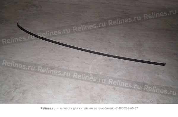 Roof trim strip-rh