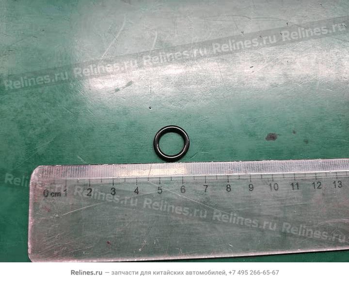 Sealing ring