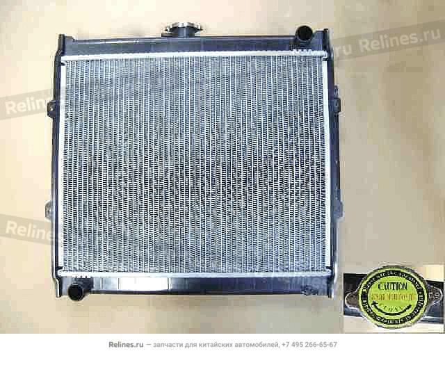 Radiator assy(export cold place w/o fan - 1301***D44