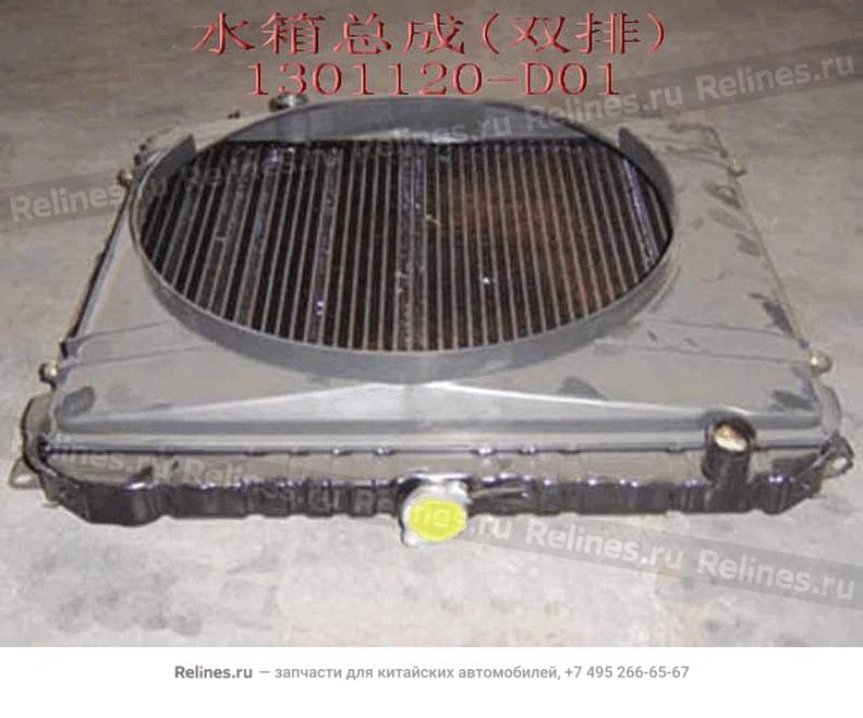 Radiator assy(double row) - 1301***D01