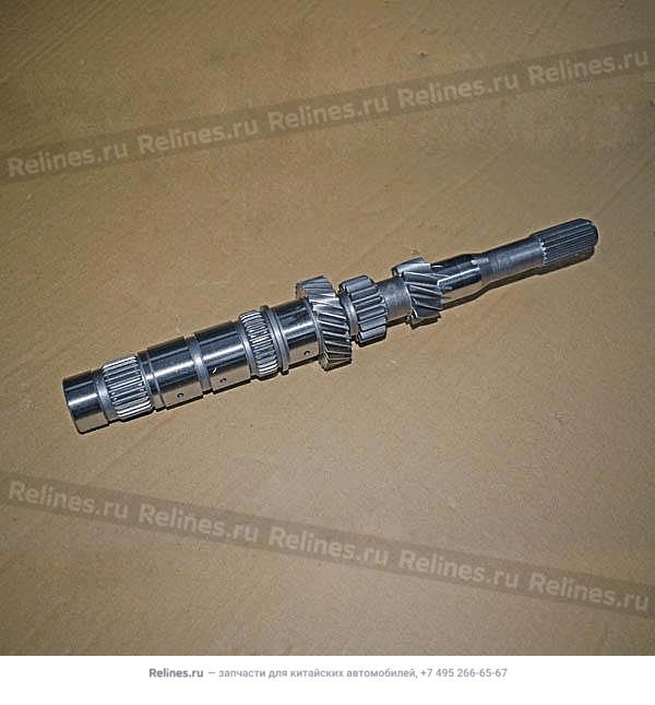 Input shaft