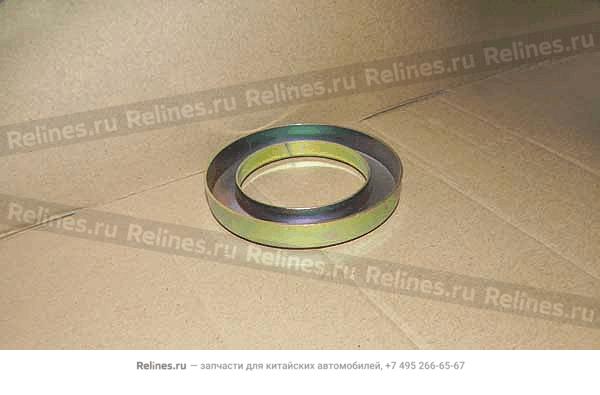 Half shaft dust cap-fr axle - SG203***03054
