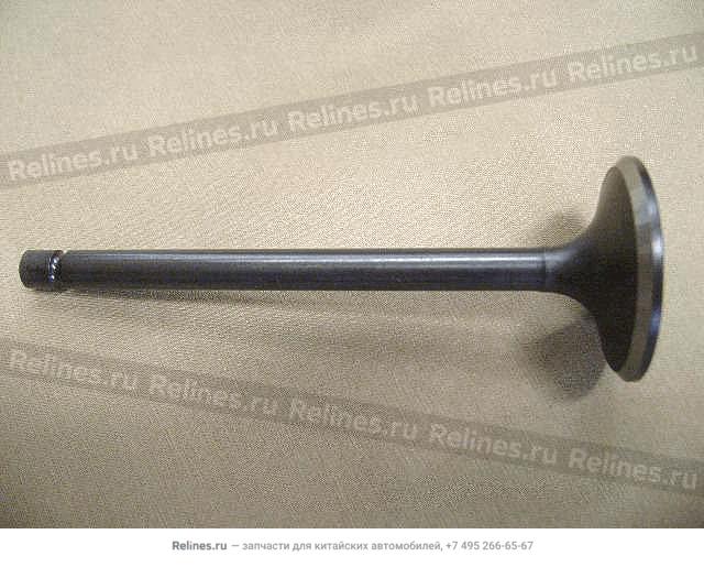 Intake valve - 1003***E02
