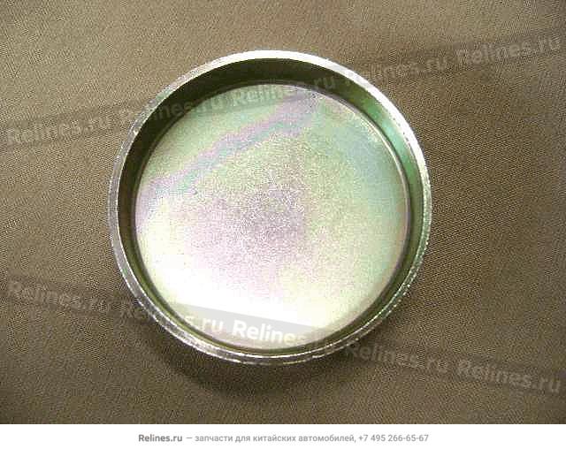 Bowl shape plug(side ¦µ55)) - 1002***4L68