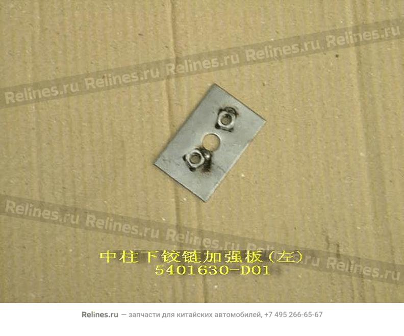 Reinf plate assy-rr door LWR hinge