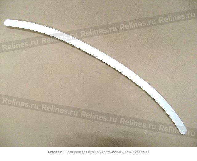 Trim light strip-rr fender flares RH - 5006***A04