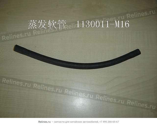 Evaporator hose - 1130***M16