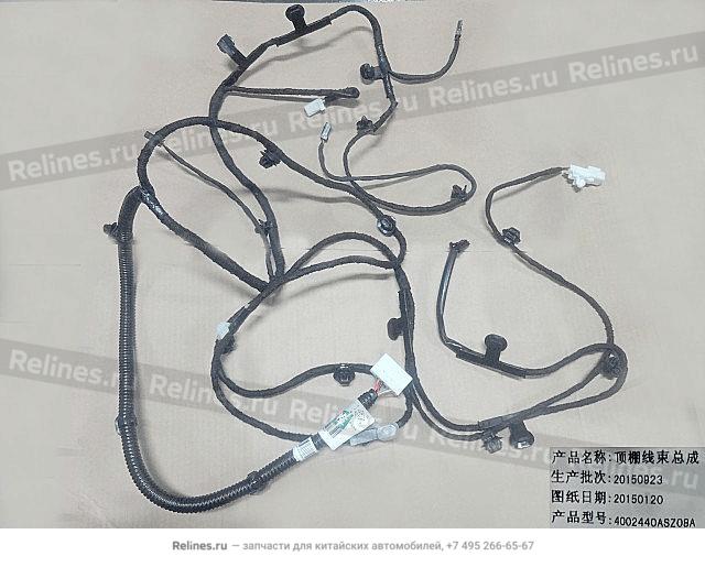 Roof harness assy - 40024***Z08A