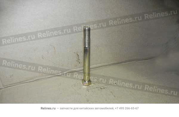 Fixing bolt