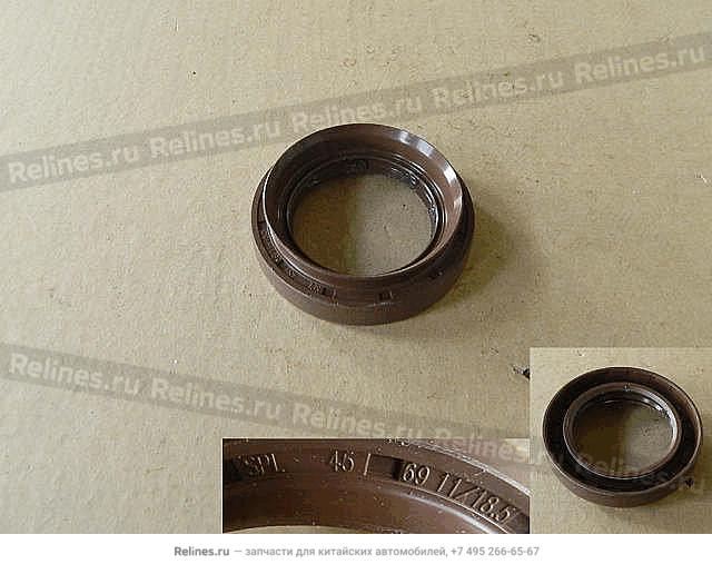 Oil seal-half shaft LH - 24021***W09A