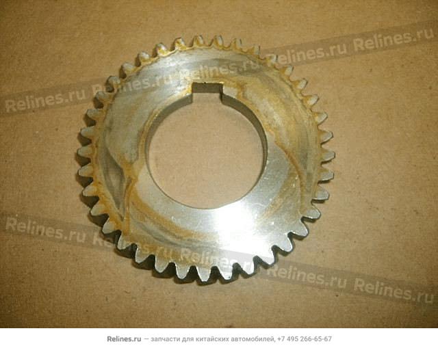 Drive gear-oil pump
