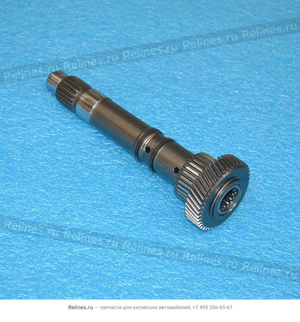 Input shaft