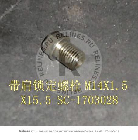 Flanged locking screw