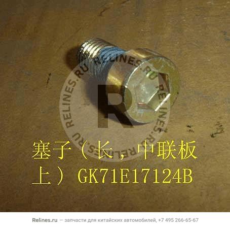 Screw plug(long intermediate panel) - GK71***24B