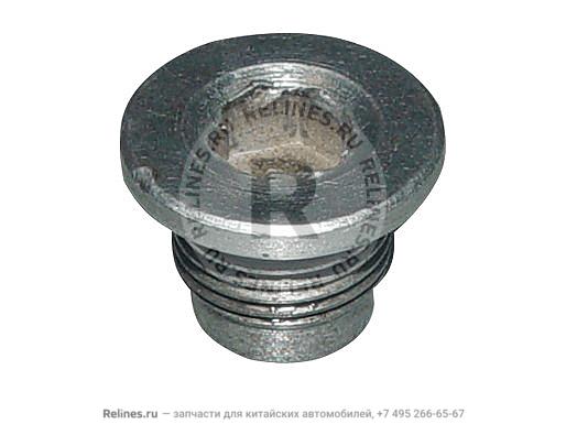 Oil metering bolt - QR523***01131