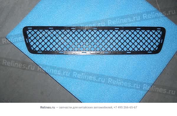 Md air intake grille-fr bumper