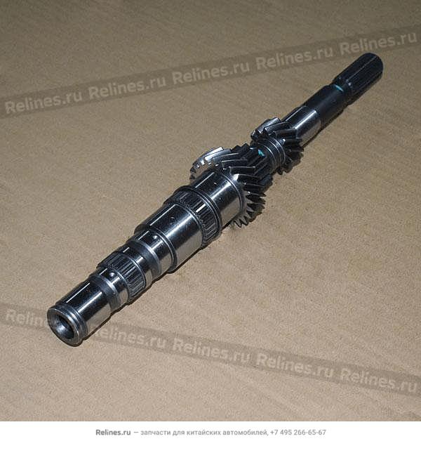 Input shaft