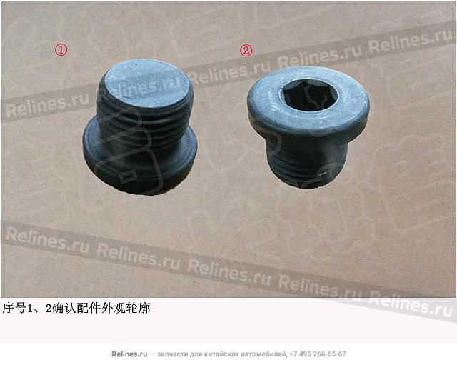 Oil plug - W701***S303