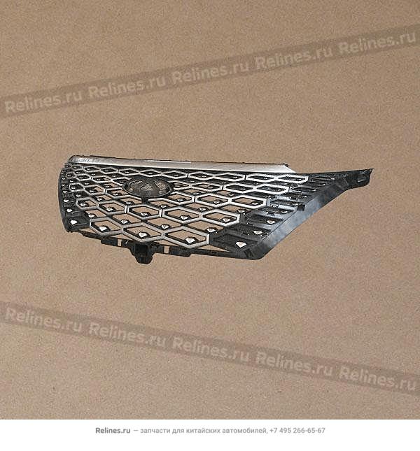 Aero silver radiator grille assembly