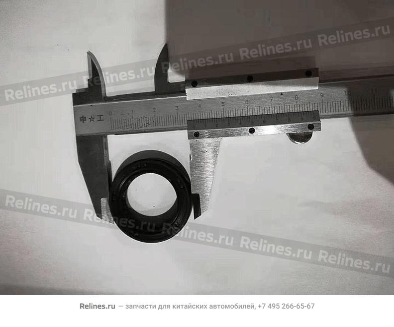 Oil seal-input shaft