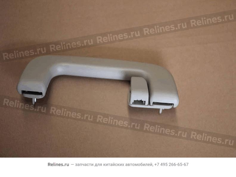 Assy,LR safety handle