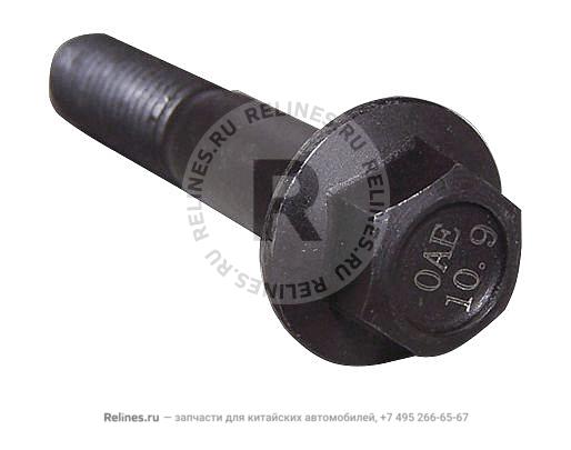 Bolt(M10x55)