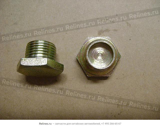 Filling plug(M18×1.5) - SC-***317