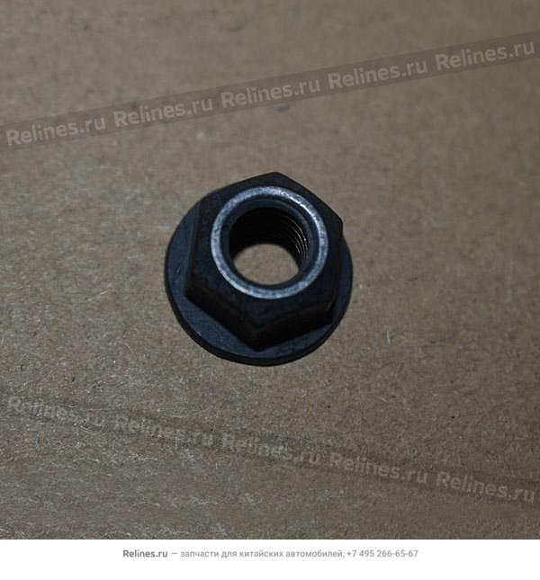 Heated resistant nut - F4J16-***018AC