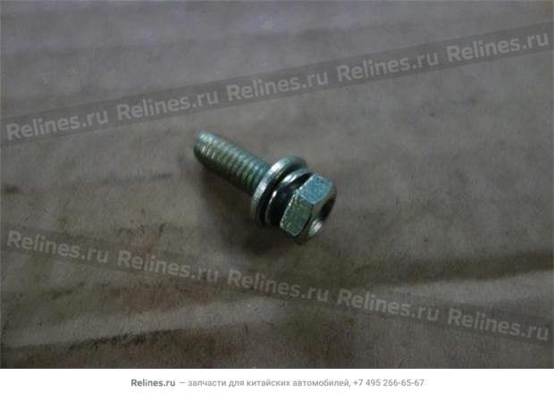 End cover bolt