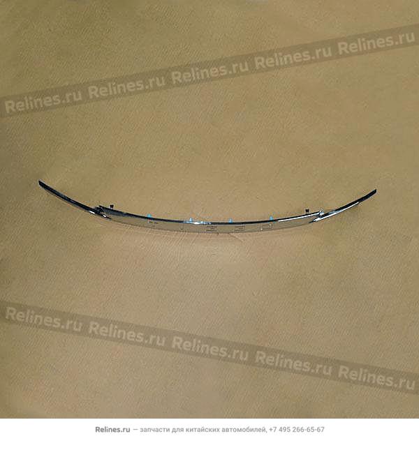 The tailgate strip assy - 6090***2AA