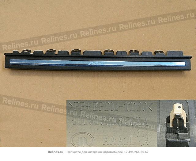 Trim panel assy door sill RH - 50061***56XA