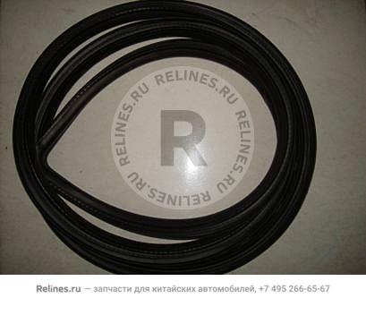 RR door seal