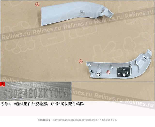 Guard plate assy tail door RH