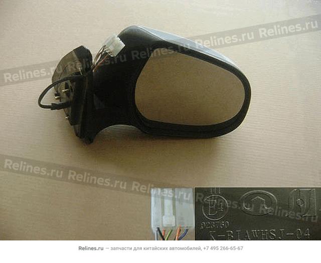 Triangleplateexteriorrearviewmirror - 82024***46XC