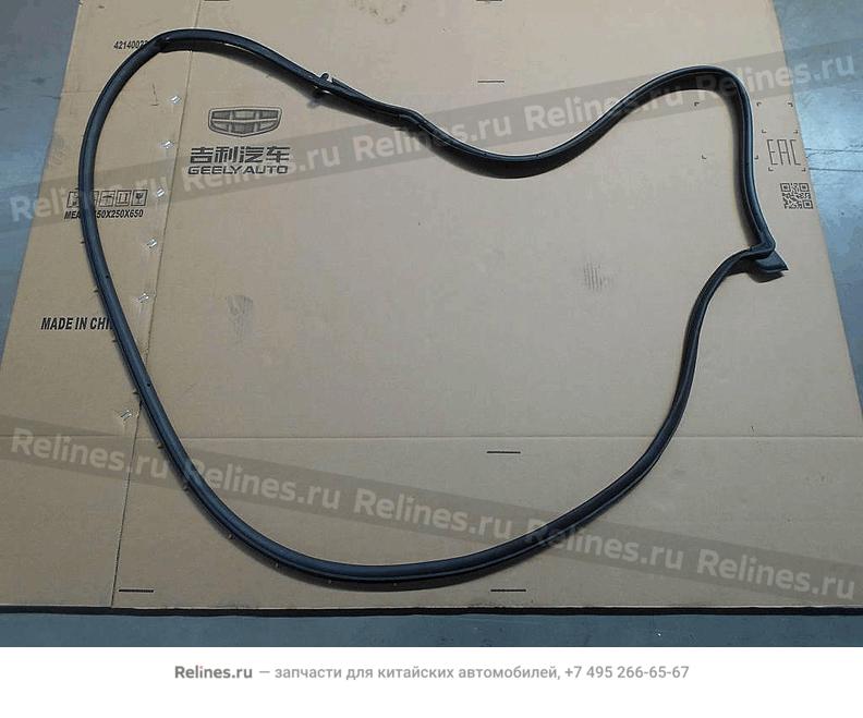 Assy,RF door weatherstrip