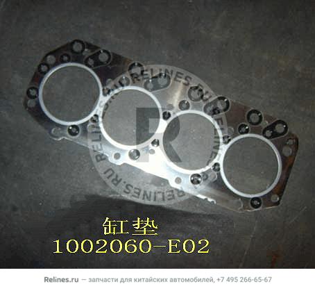 Cylinder gasket subassy - 1002***E02