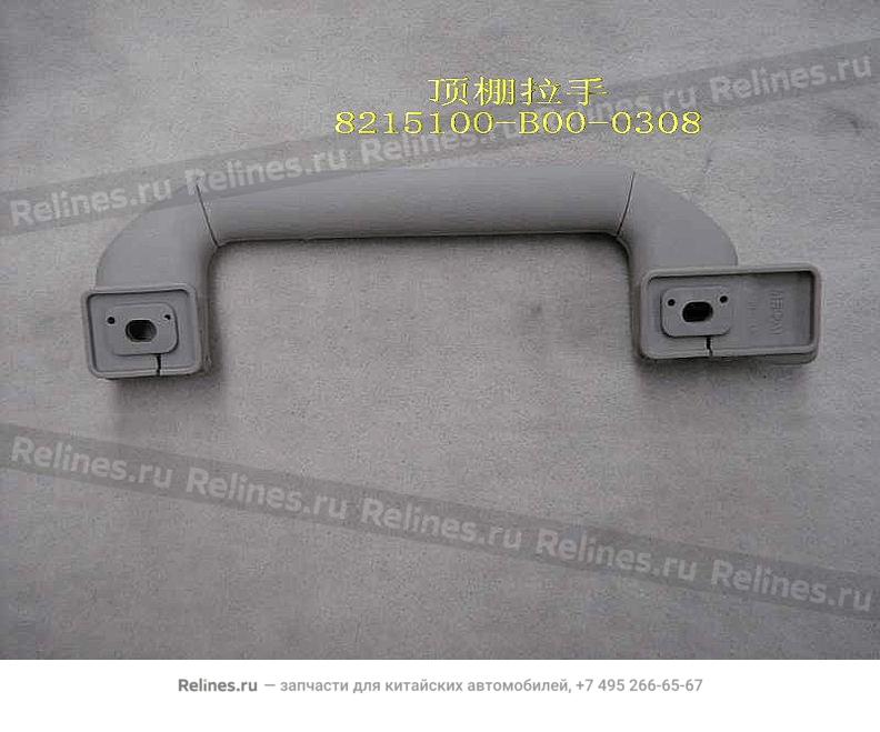 Roof handle assy