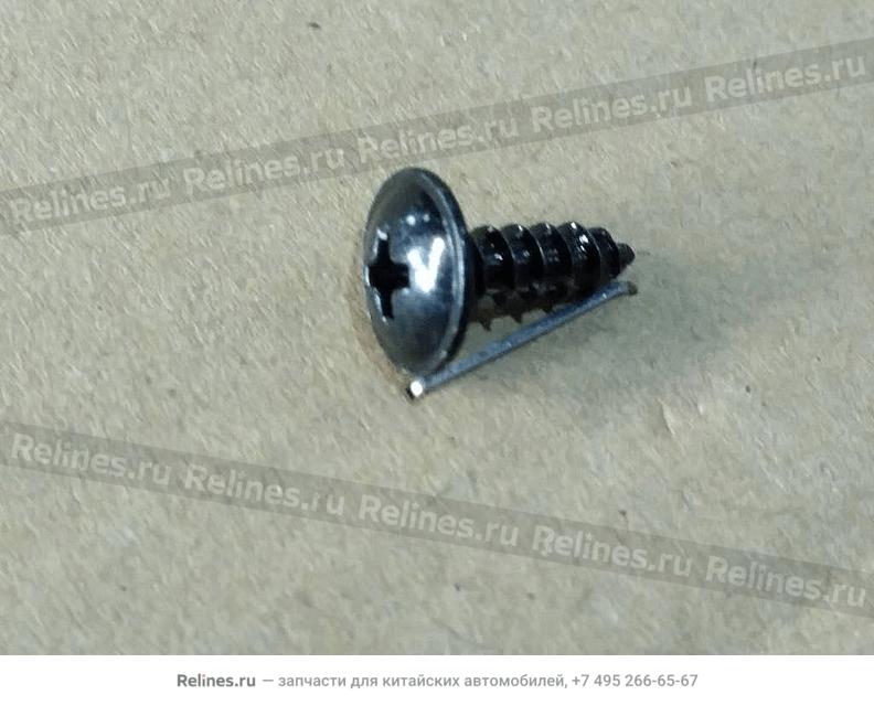 Cross slotted head tapping screw - 601***200