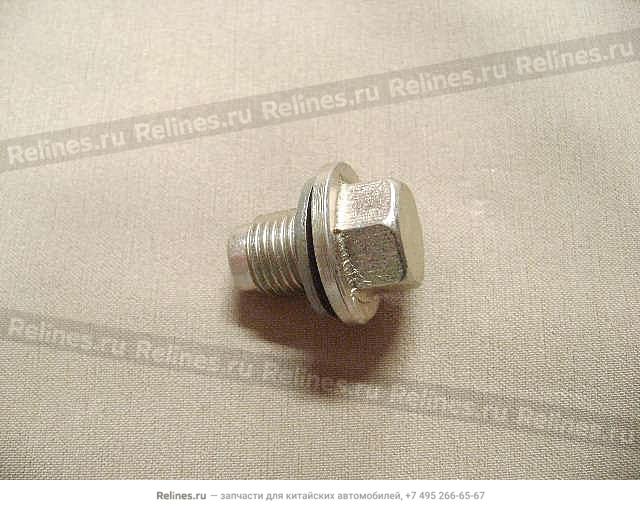 Oil drain plug - 1009***E10