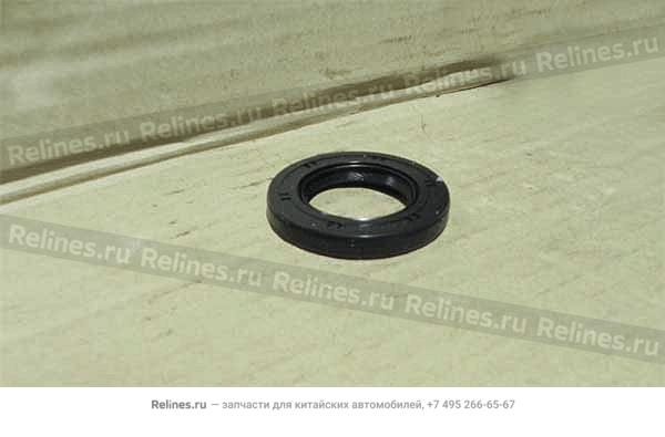 Oil seal-fr cover - 038-***022