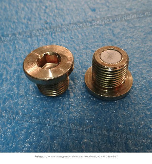 Oil drain plug-final drive - QR523***01130