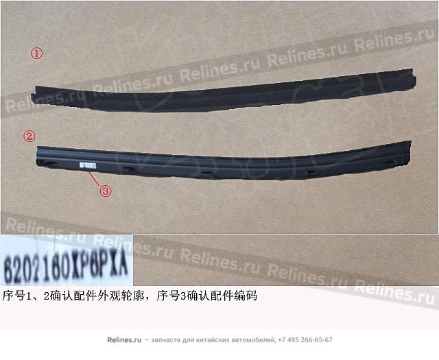 Interior weatherstrip RR door RH - 62021***6PXA